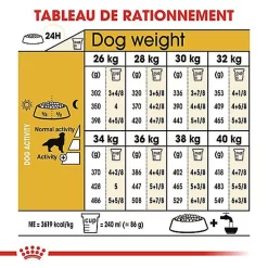 Royal Canin - Croquettes Golden Retriever Pour Chien Adulte -Fournitures Pour Chiens 67283