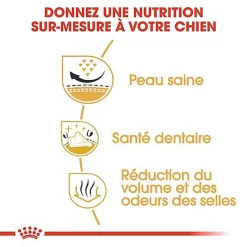 Royal Canin - Croquettes Shi Tzu Pour Chien Adulte - 1,5Kg -Fournitures Pour Chiens 67317