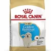 Royal Canin - Croquettes Golden Retriever Junior Pour Chiot