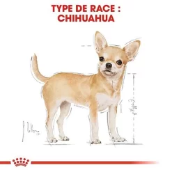 Royal Canin - Croquettes Chihuahua Pour Chien Adulte -Fournitures Pour Chiens 67347