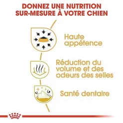 Royal Canin - Croquettes Chihuahua Pour Chien Adulte -Fournitures Pour Chiens 67351