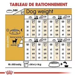 Royal Canin - Croquettes Chihuahua Pour Chien Adulte -Fournitures Pour Chiens 67352