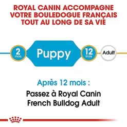 Royal Canin - Croquettes Bouledogue Français Junior Pour Chiot 11 Royal Canin - Croquettes Bouledogue Français Junior Pour Chiot -Fournitures Pour Chiens 67465