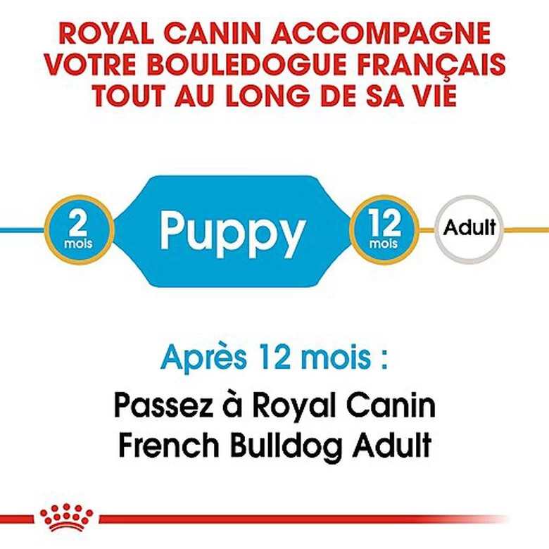 Royal Canin - Croquettes Bouledogue Français Junior Pour Chiot 3 Royal Canin - Croquettes Bouledogue Français Junior Pour Chiot – Image 3