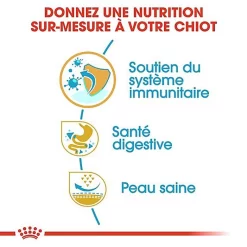Royal Canin - Croquettes Bouledogue Français Junior Pour Chiot 14 Royal Canin - Croquettes Bouledogue Français Junior Pour Chiot -Fournitures Pour Chiens 67468