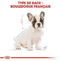 Royal Canin - Croquettes Bouledogue Français Junior Pour Chiot 15 Royal Canin - Croquettes Bouledogue Français Junior Pour Chiot -Fournitures Pour Chiens 67469