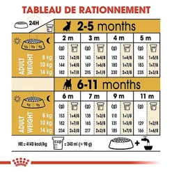 Royal Canin - Croquettes Bouledogue Français Junior Pour Chiot 16 Royal Canin - Croquettes Bouledogue Français Junior Pour Chiot -Fournitures Pour Chiens 67470