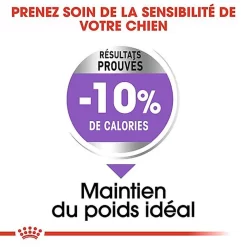 Royal Canin - Croquettes Medium Sterilised Pour Chien Stérilisé - 3Kg -Fournitures Pour Chiens 67579