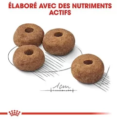 Royal Canin - Croquettes Medium Sterilised Pour Chien Stérilisé - 3Kg -Fournitures Pour Chiens 67580