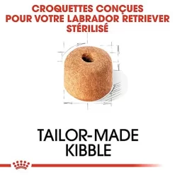 Royal Canin - Croquettes Labrador Pour Chien Stérilisé - 12Kg -Fournitures Pour Chiens 67587