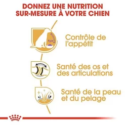 Royal Canin - Croquettes Labrador Pour Chien Stérilisé - 12Kg -Fournitures Pour Chiens 67588