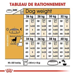 Royal Canin - Croquettes Labrador Pour Chien Stérilisé - 12Kg -Fournitures Pour Chiens 67589