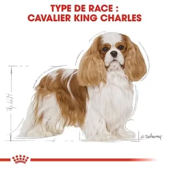 Royal Canin - Croquettes Cavalier King Charles Pour Chien Adulte -Fournitures Pour Chiens 67592
