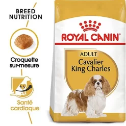 Royal Canin - Croquettes Cavalier King Charles Pour Chien Adulte -Fournitures Pour Chiens 67593