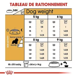 Royal Canin - Croquettes Cavalier King Charles Pour Chien Adulte -Fournitures Pour Chiens 67596