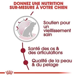 Royal Canin - Croquettes Medium Ageing 10+ Pour Chien Senior - 15Kg -Fournitures Pour Chiens 67667