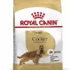 Royal Canin - Croquettes Cocker Pour Chien Adulte