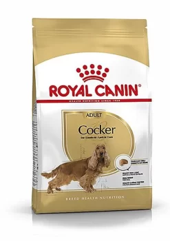 Royal Canin - Croquettes Cocker Pour Chien Adulte