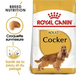 Royal Canin - Croquettes Cocker Pour Chien Adulte -Fournitures Pour Chiens 67779