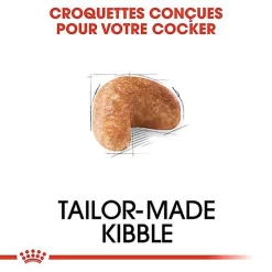 Royal Canin - Croquettes Cocker Pour Chien Adulte -Fournitures Pour Chiens 67780