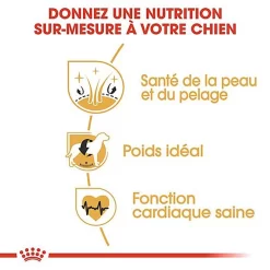 Royal Canin - Croquettes Cocker Pour Chien Adulte -Fournitures Pour Chiens 67781