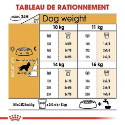 Royal Canin - Croquettes Cocker Pour Chien Adulte -Fournitures Pour Chiens 67782