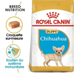 Royal Canin - Croquettes Chihuahua Junior Pour Chiot - 1,5Kg -Fournitures Pour Chiens 67801