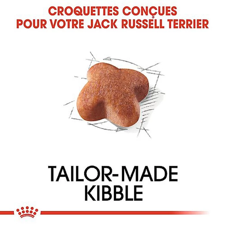 Royal Canin - Croquettes Jack Russel Terrier Pour Chien Adulte 4 Royal Canin - Croquettes Jack Russel Terrier Pour Chien Adulte – Image 4