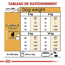 Royal Canin - Croquettes Jack Russel Terrier Pour Chien Adulte 11 Royal Canin - Croquettes Jack Russel Terrier Pour Chien Adulte -Fournitures Pour Chiens 67832