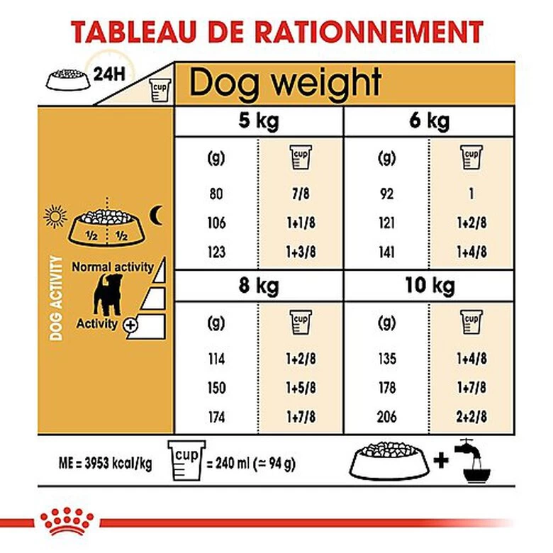 Royal Canin - Croquettes Jack Russel Terrier Pour Chien Adulte 5 Royal Canin - Croquettes Jack Russel Terrier Pour Chien Adulte – Image 5