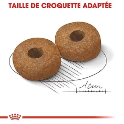 Royal Canin - Croquettes Medium Ageing 10+ Pour Chien Senior - 3Kg -Fournitures Pour Chiens 67946