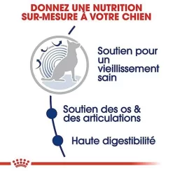 Royal Canin - Croquettes Maxi Ageing 8+ Pour Chien Senior - 3Kg 10 Royal Canin - Croquettes Maxi Ageing 8+ Pour Chien Senior - 3Kg -Fournitures Pour Chiens 67952