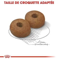 Royal Canin - Croquettes Maxi Ageing 8+ Pour Chien Senior - 3Kg 11 Royal Canin - Croquettes Maxi Ageing 8+ Pour Chien Senior - 3Kg -Fournitures Pour Chiens 67953