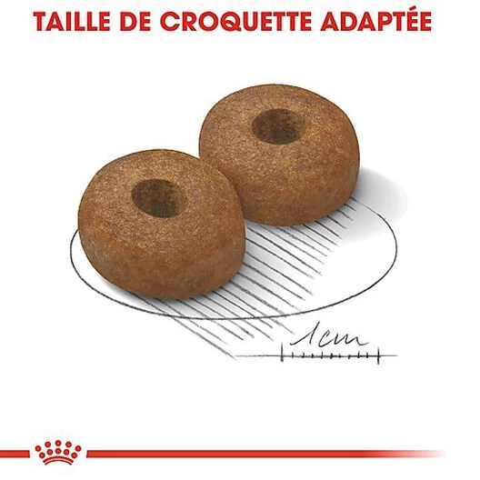 Royal Canin - Croquettes Maxi Ageing 8+ Pour Chien Senior - 3Kg 5 Royal Canin - Croquettes Maxi Ageing 8+ Pour Chien Senior - 3Kg – Image 5