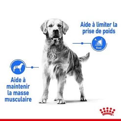 Royal Canin - Croquettes Medium Light Weight Care Pour Chien - 3Kg -Fournitures Pour Chiens 68013