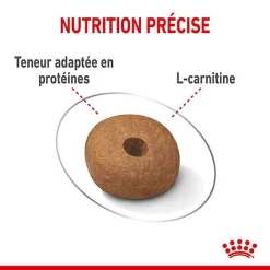 Royal Canin - Croquettes Medium Light Weight Care Pour Chien - 3Kg -Fournitures Pour Chiens 68014