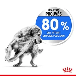 Royal Canin - Croquettes Medium Light Weight Care Pour Chien - 3Kg -Fournitures Pour Chiens 68015