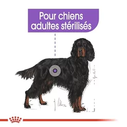 Royal Canin - Croquettes Maxi Sterilised Pour Chien Adulte Stérilisé - 3Kg -Fournitures Pour Chiens 68021