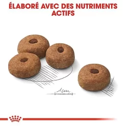 Royal Canin - Croquettes Maxi Sterilised Pour Chien Adulte Stérilisé - 3Kg -Fournitures Pour Chiens 68023
