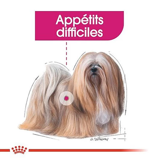 Royal Canin - Croquettes Mini Exigent Pour Chien - 3Kg 3 Royal Canin - Croquettes Mini Exigent Pour Chien - 3Kg – Image 3