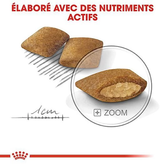 Royal Canin - Croquettes Mini Exigent Pour Chien - 3Kg 5 Royal Canin - Croquettes Mini Exigent Pour Chien - 3Kg – Image 5