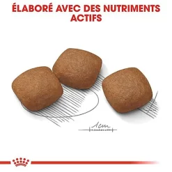 Royal Canin - Croquettes Maxi Joint Care Pour Chien - 10Kg -Fournitures Pour Chiens 68092