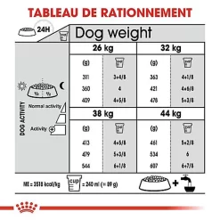 Royal Canin - Croquettes Maxi Joint Care Pour Chien - 10Kg -Fournitures Pour Chiens 68093