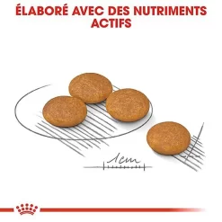 Royal Canin - Croquettes Mini Dermacomfort Pour Chien - 2Kg -Fournitures Pour Chiens 68100