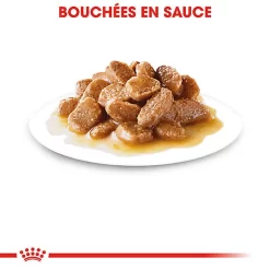 Royal Canin - Sachets Mini Adult En Sauce Pour Chien - 12X85g -Fournitures Pour Chiens 68363