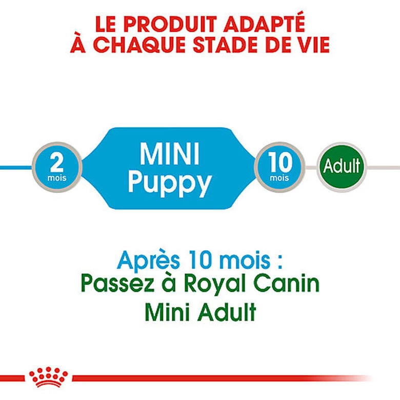 Royal Canin - Sachets Mini Puppy En Sauce Pour Chiot - 12X85g 4 Royal Canin - Sachets Mini Puppy En Sauce Pour Chiot - 12X85g – Image 4
