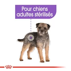Royal Canin - Sachets Sterilised En Mousse Pour Chien - 12X85g -Fournitures Pour Chiens 68383