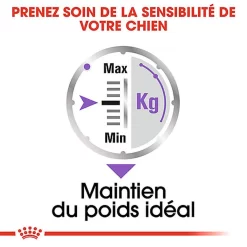 Royal Canin - Sachets Sterilised En Mousse Pour Chien - 12X85g -Fournitures Pour Chiens 68385