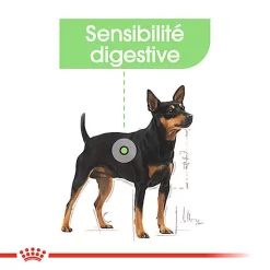 Royal Canin - Sachets Digestive Care En Mousse Pour Chien - 12X85g -Fournitures Pour Chiens 68392