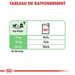 Royal Canin - Sachets Digestive Care En Mousse Pour Chien - 12X85g -Fournitures Pour Chiens 68394